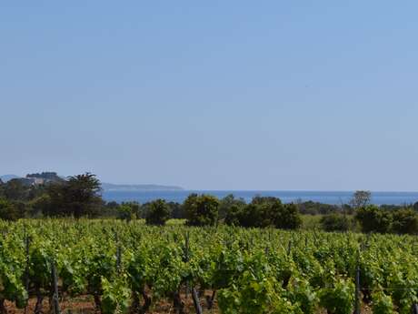 Les châtaigneraies des Maures - Circuit 18