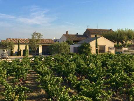 Domaine de la Vieille Julienne