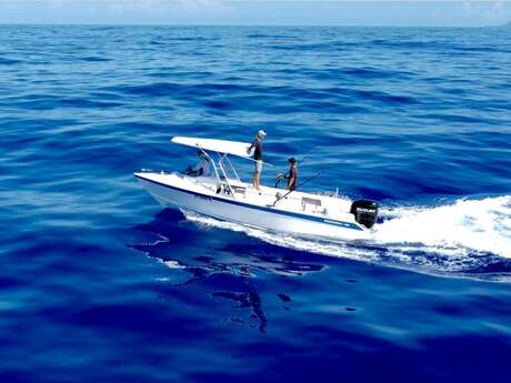 Tahiti Ocean Adventures - Whale watching tours