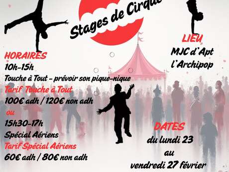 Stage de cirque