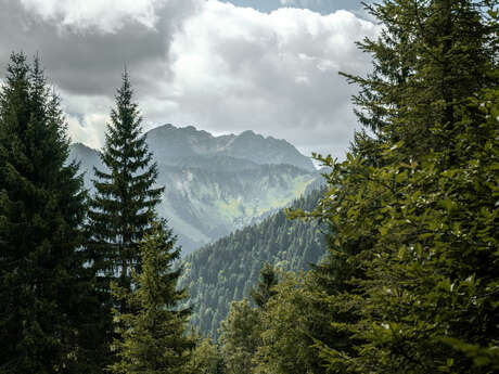 Petit tour des Crêtes de Seytroux hiking trail