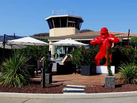 Aéroport international du Golfe de Saint-Tropez
