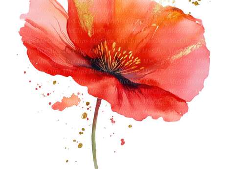 Atelier - Aquarelle fleurs d'été