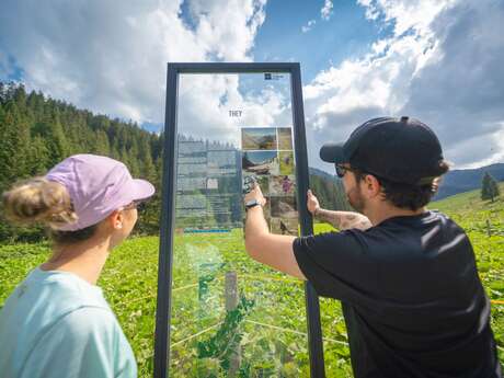 Morgins -  Chemin des Ponts du Vallon de They