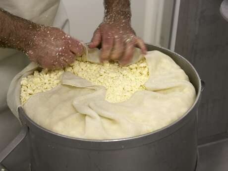 Découverte de la fabrication du Cantal