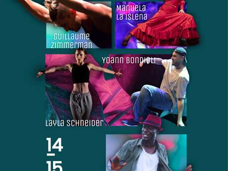 Stage pluridisciplinaire - Pulsion