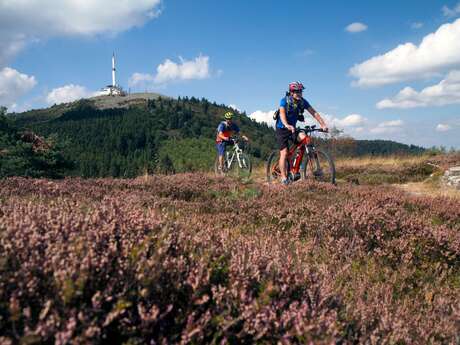 Séjour 2 jours - VTT dans le Pilat rhodanien