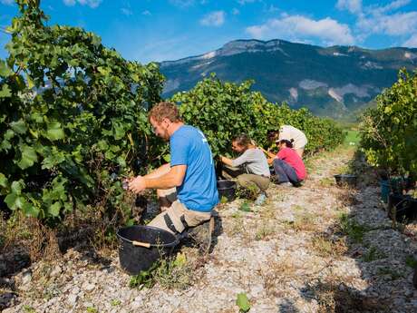 Domaine Finot