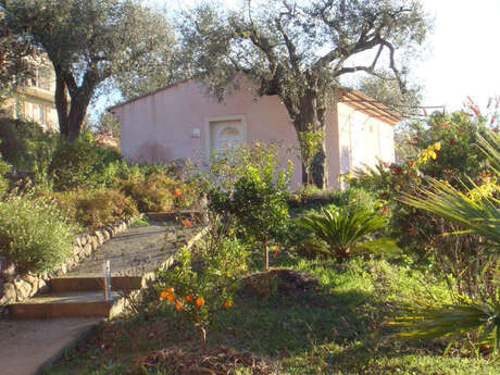 Mas de la Galinette "Pivoine"