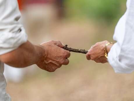 Balade découverte de la biodiversité en forêt au Domaine de la Blaque | Le Var fête la Nature