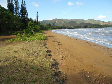 Plage de la Baie de Plum