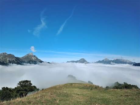 Randonnée montagne avec des ânes : 2 jours