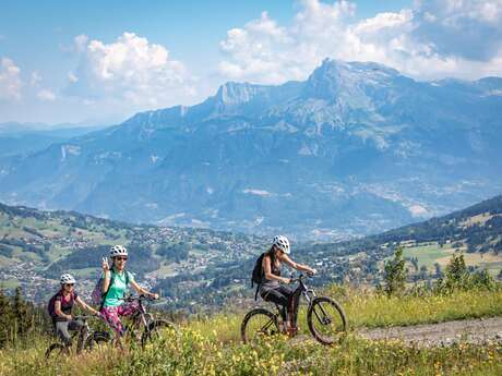 Mountain bike trail n°52 - Tour de Rochebrune