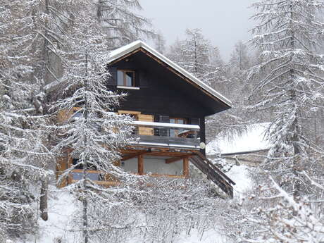 Chalet Les Carlines
