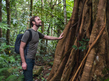 Guided visit of Mont Koghis and it's rain forest - Etic NC