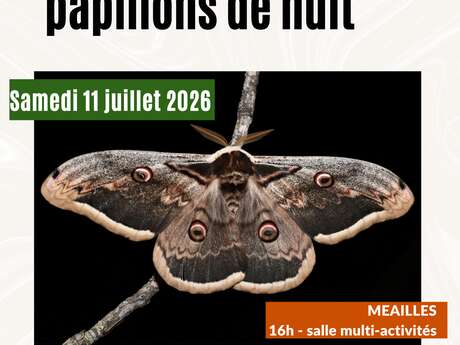 Conférence - A la découverte des papillons de nuit