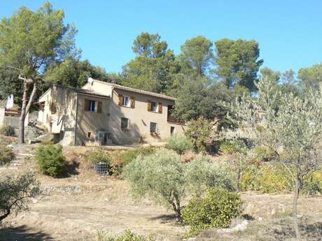 Les Git'ânes de Pontevès