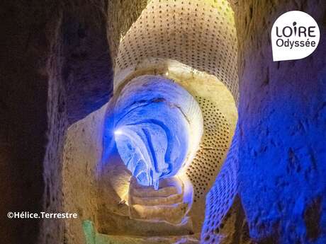 Picnic y visita a Hellice Terrestre con Loire Odyssée