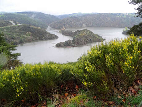 Marche des Randonneurs des 2 rives - 17e édition