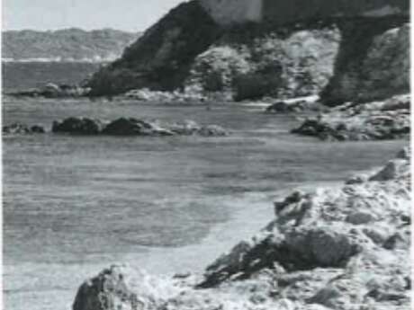 The island and the bow - FORTissimo 2026