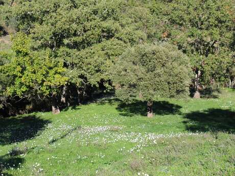 Les Cabrettes - Rando 8