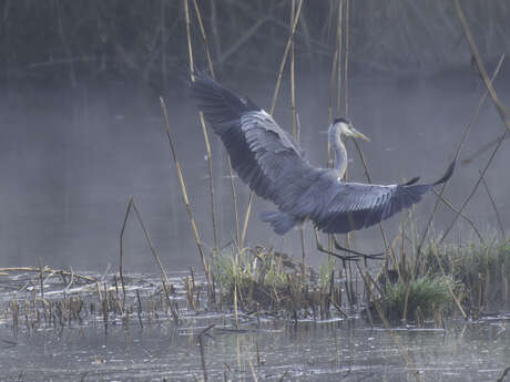 Mots, dessins et poésie au fil de l’eau l Renc'Arts du Parc