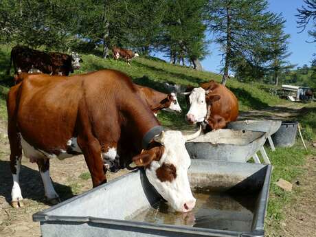 Cowshed Les Cabanes Vieilles