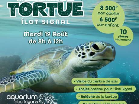 Relâché de tortue à l'îlot Signal
