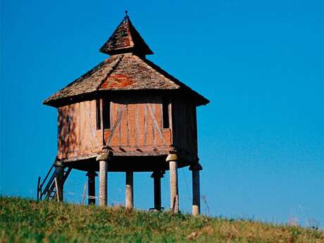 Pigeonnier sur colonnes de Lauzerte