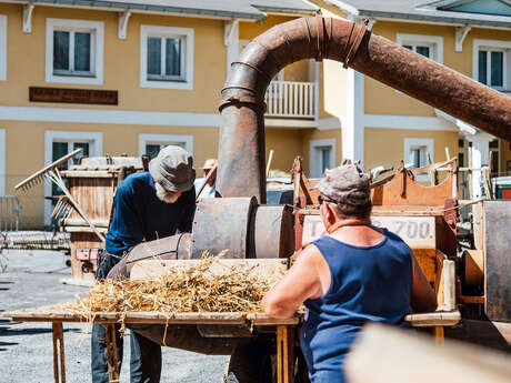 Harvest festival