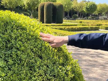 Visite commentée : Les jardins sur le bout des doigts