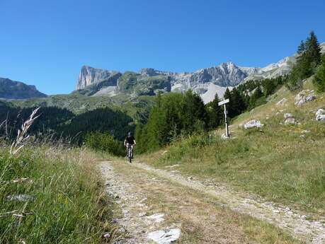 Circuit VTT n°7 : L'Enclus