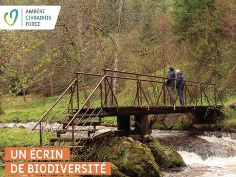 Un écrin de biodiversité au bord de La Dore