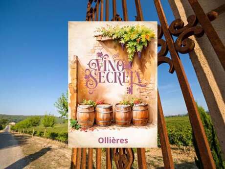 Vino secreta : escape game aventure dans les vignes