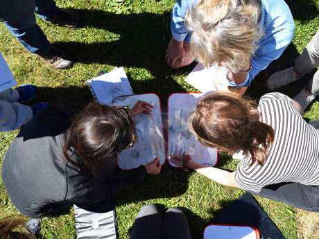 Belbin® Challenge – Equipes performantes