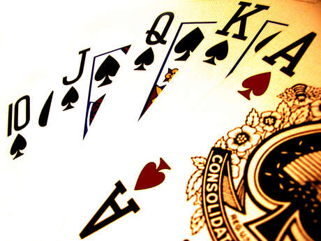 Bridge Club