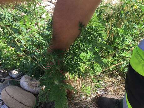 Protéger sa santé... à la source !