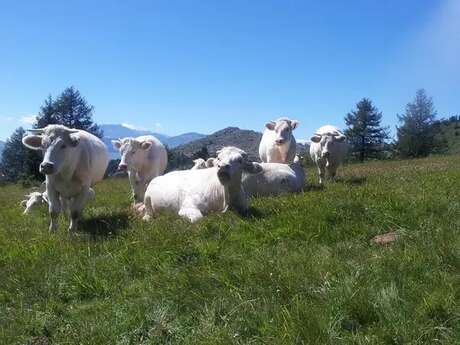GAEC La Ferme de Sauron