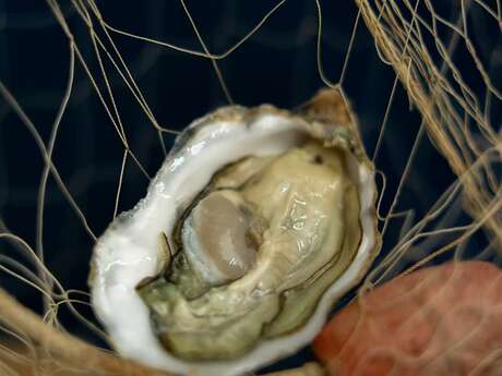 Découverte du métier d'ostréiculteur dans les parcs à huîtres et dégustation à L'Huitrière