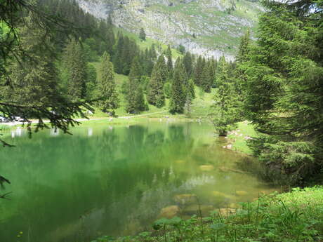 Pêche au lac de Fontaine