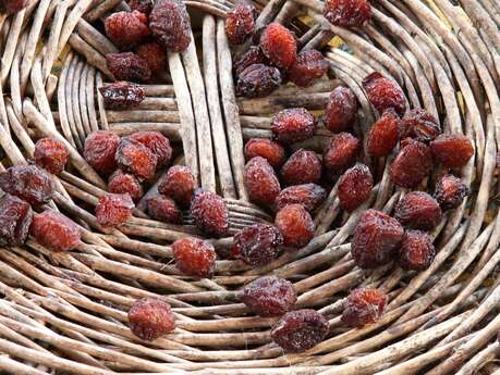Journées Européennes du Patrimoine : découverte de la Maison des Fruits Anciens et atelier pistoles