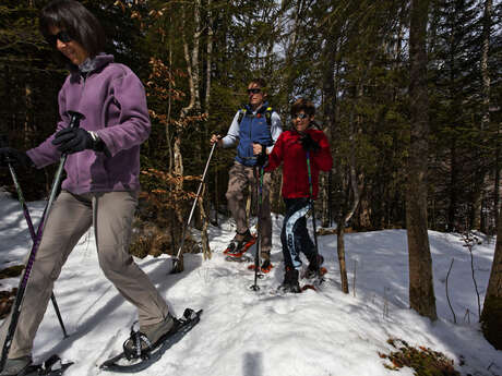 Itinerario con le racchette da neve "Col du Feu - Foyer des Moises