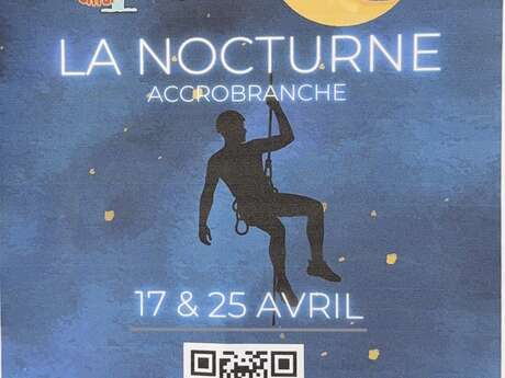 La nocturne accrobranche au parc Aoubré