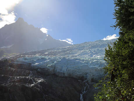 Glacier des Bossons