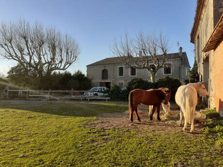 Petite maison à la campagne