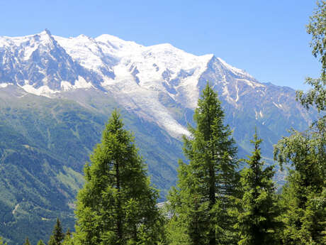 Randonnée à la Flégère depuis Chamonix