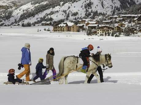 Balade en poney luge