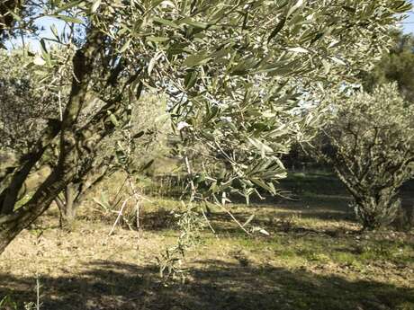 Naturraum Pipière-Pépiole