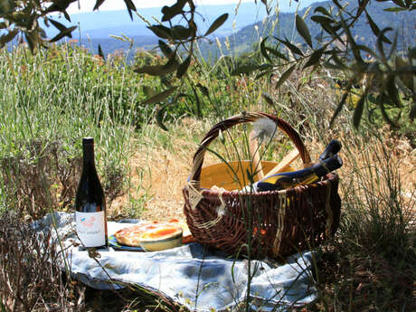 Pique-nique au domaine de Saint-Amant