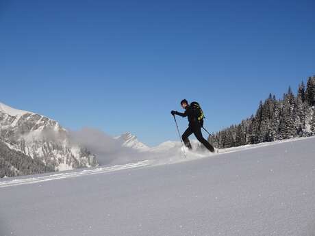 Sneeuwschoenwandelingen à la carte